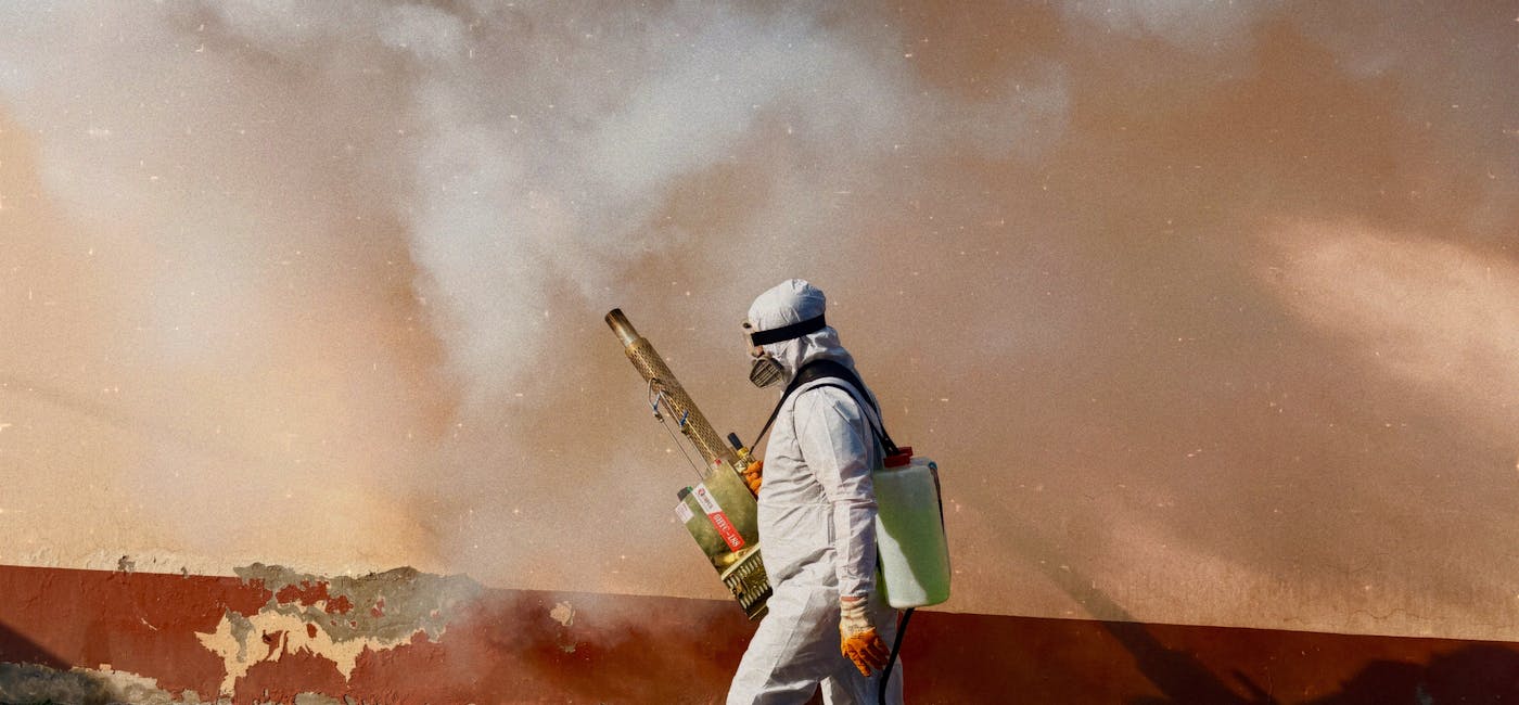 Servicio de fumigación profesional